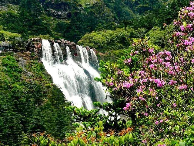 消逝的光芒